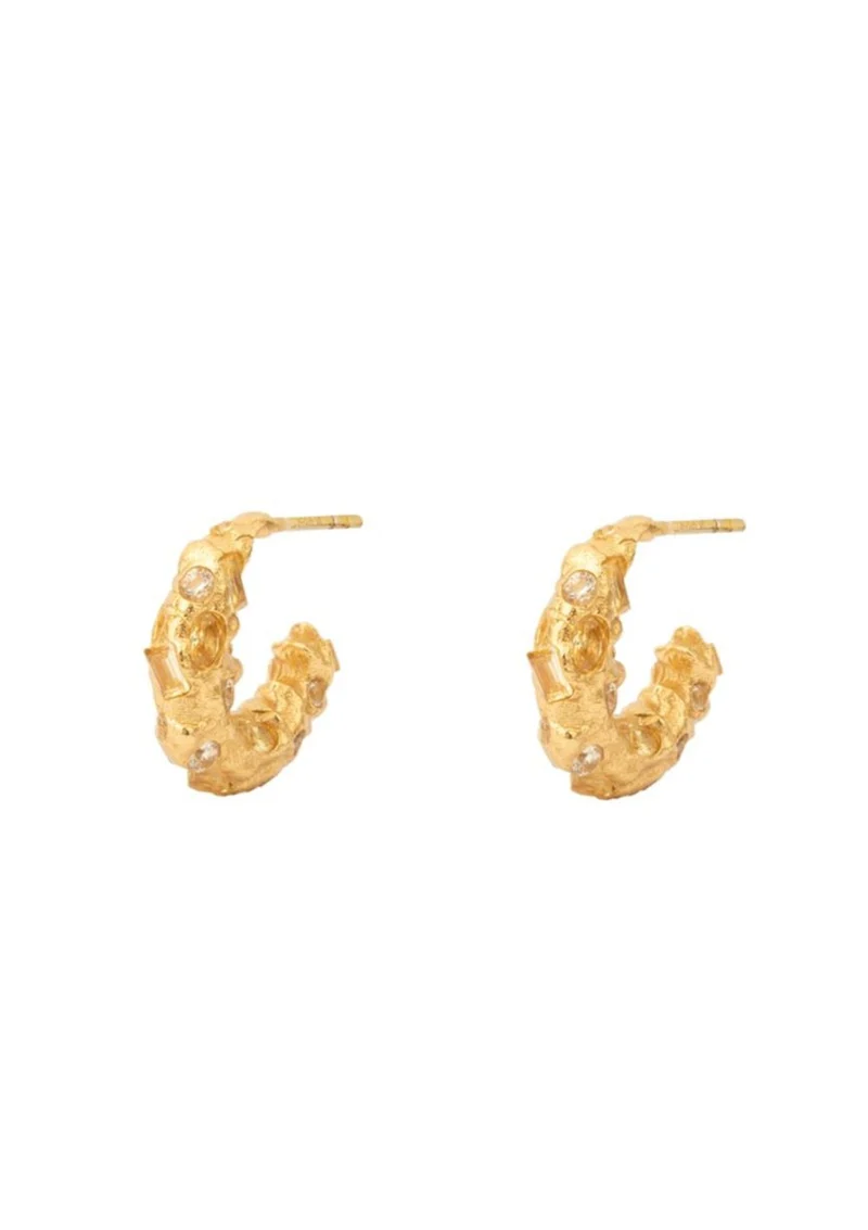 House Of Vincent - Trinket Hoop Earrings VJ194-UEG-Y - Gilded
