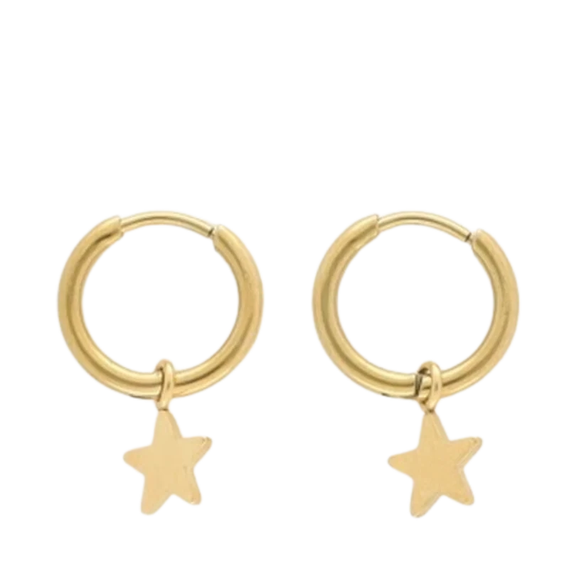 Earrings With Star - 1200 Gold