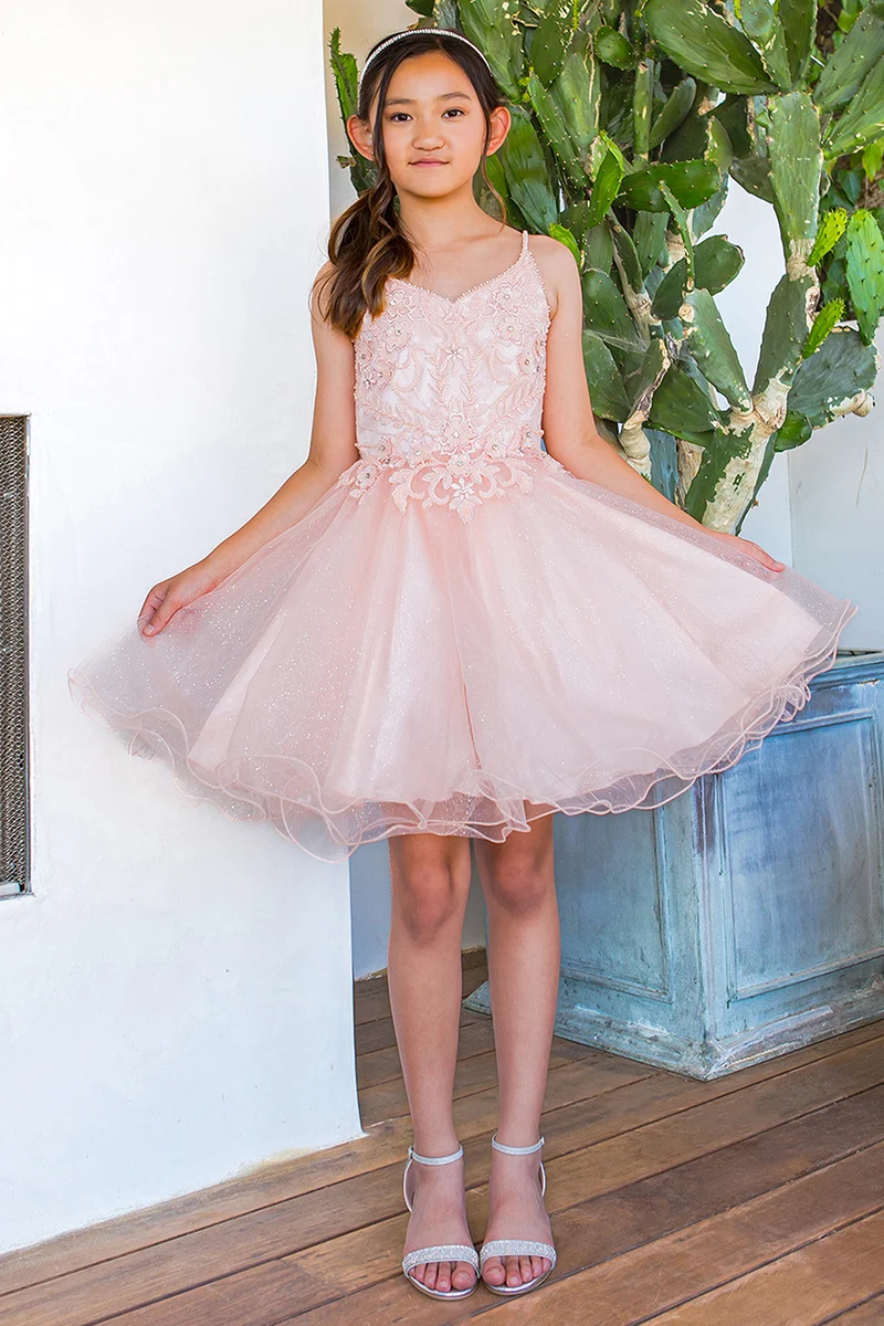 Broderi Sparkly Tulle A-Line Girl Party Dress från Cinderella Couture USA AS5112