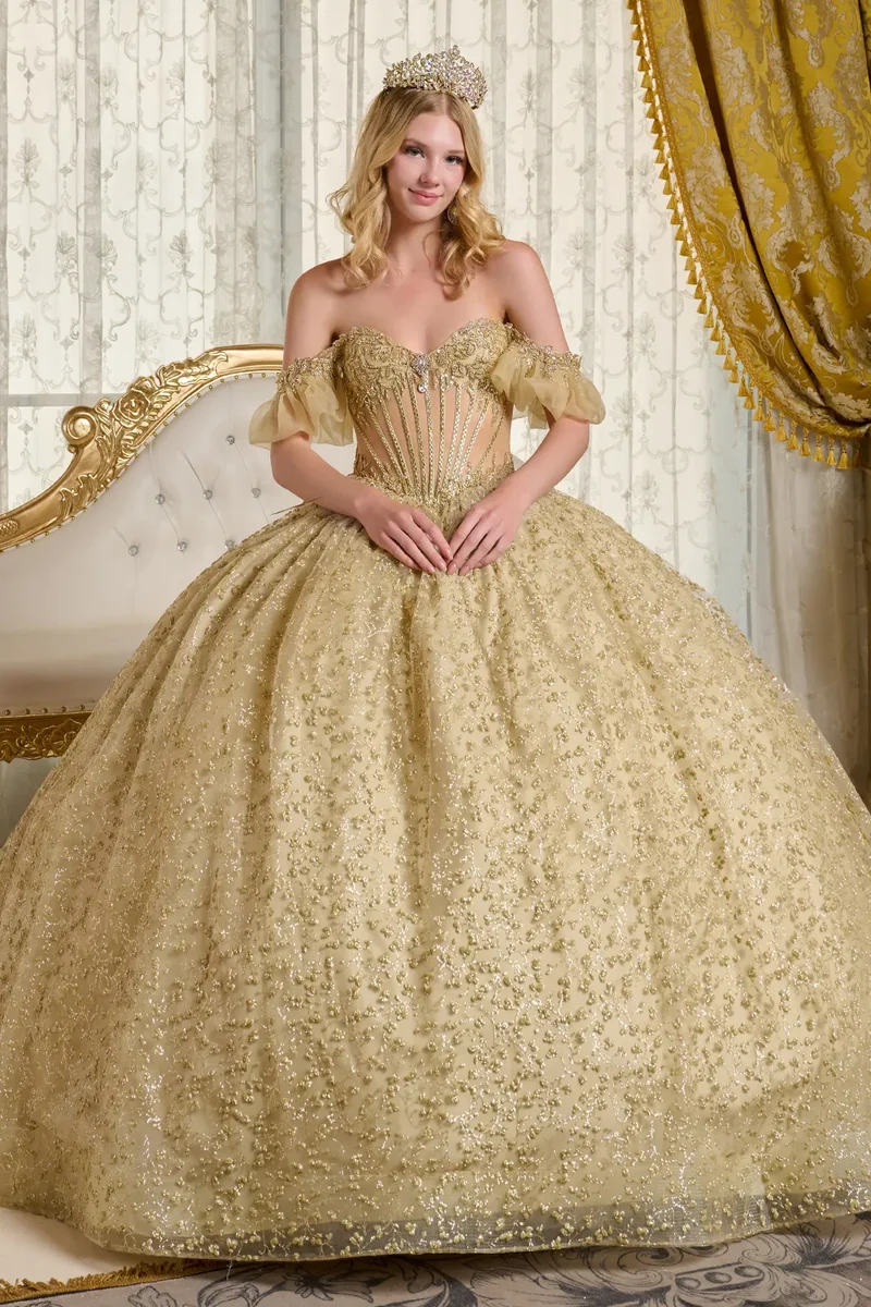 Broderad Paljett V-ringad Quinceanera-klänning från Elizabeth K - GL3632